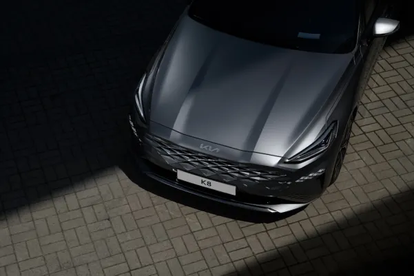 BingoBilly Kasino Apl Android/iOS